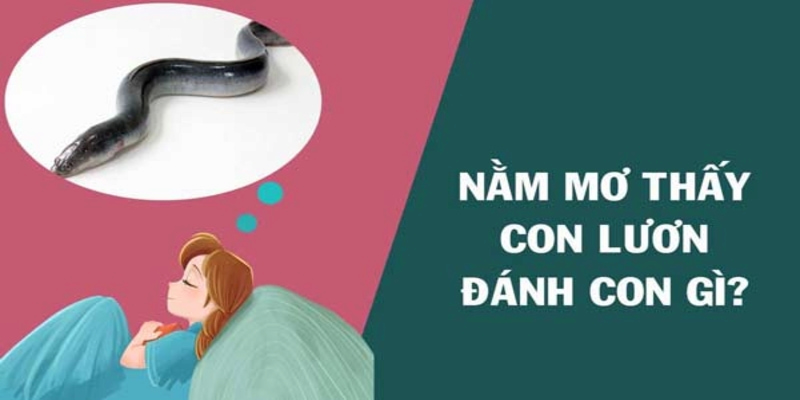 Con số may mắn qua những tình huống thường xuất hiện trong giấc mơ