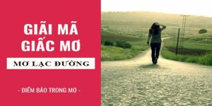 Mơ Thấy Lạc Đường