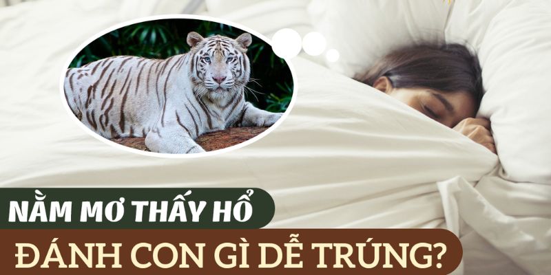 Mơ thấy hổ đánh con gì để ẵm thưởng xổ số