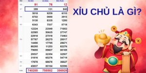 Xỉu Chủ Là Gì